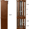 Corner Rare Cabinet With Lights, Excluding E26 Light Bulbs