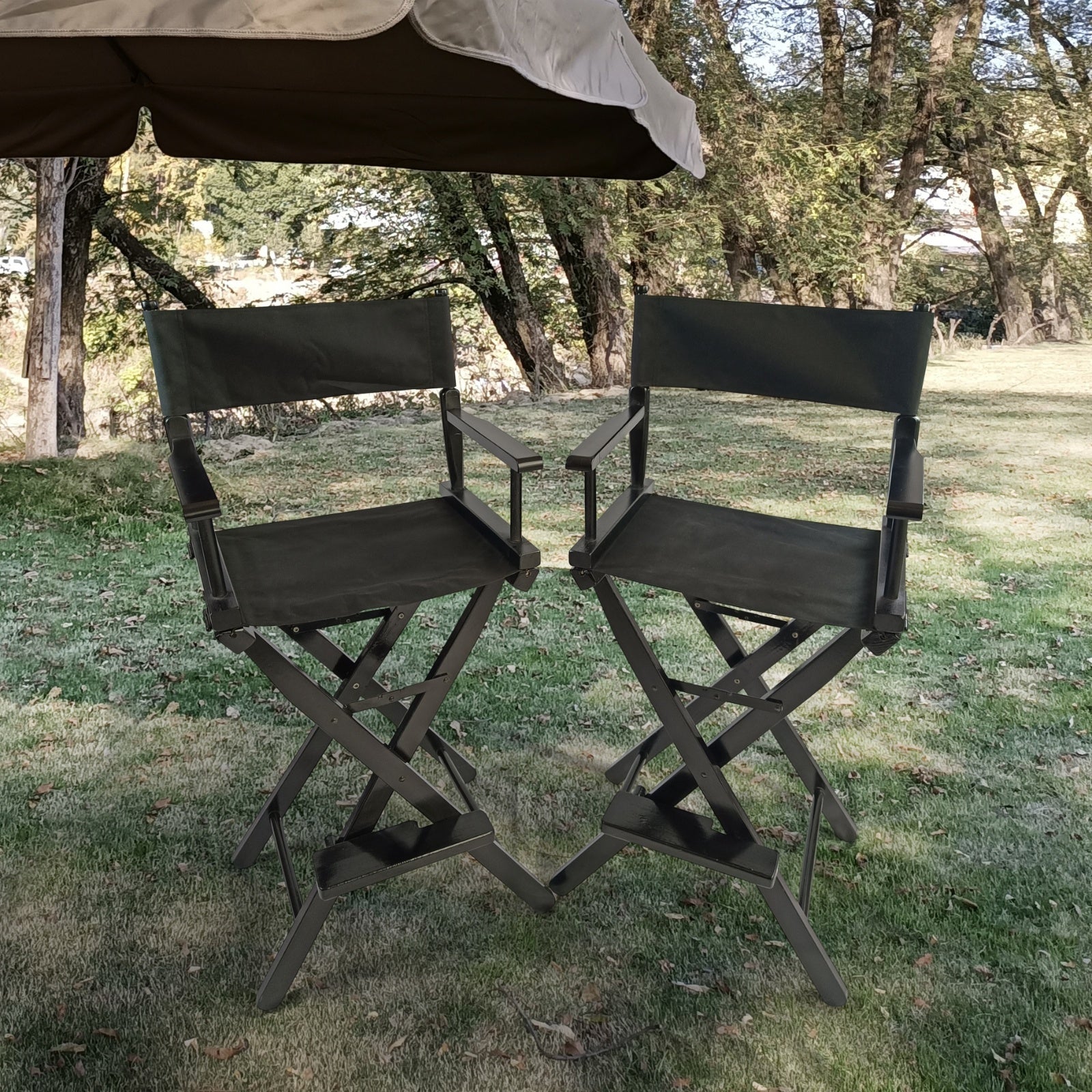 Casual Home Director's Chair Black Frame Canvas, Foldable, 2pcs - Adult Size