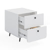 Modern Night Stand Storage Cabinet For Living Room Bedroom, Steel Cabinet With 2 Drawers,Bedside Furniture, Circular Handle