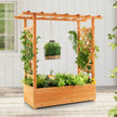 Raised Garden Bed With Trellis Or Climbing Plant And Hanging Roof