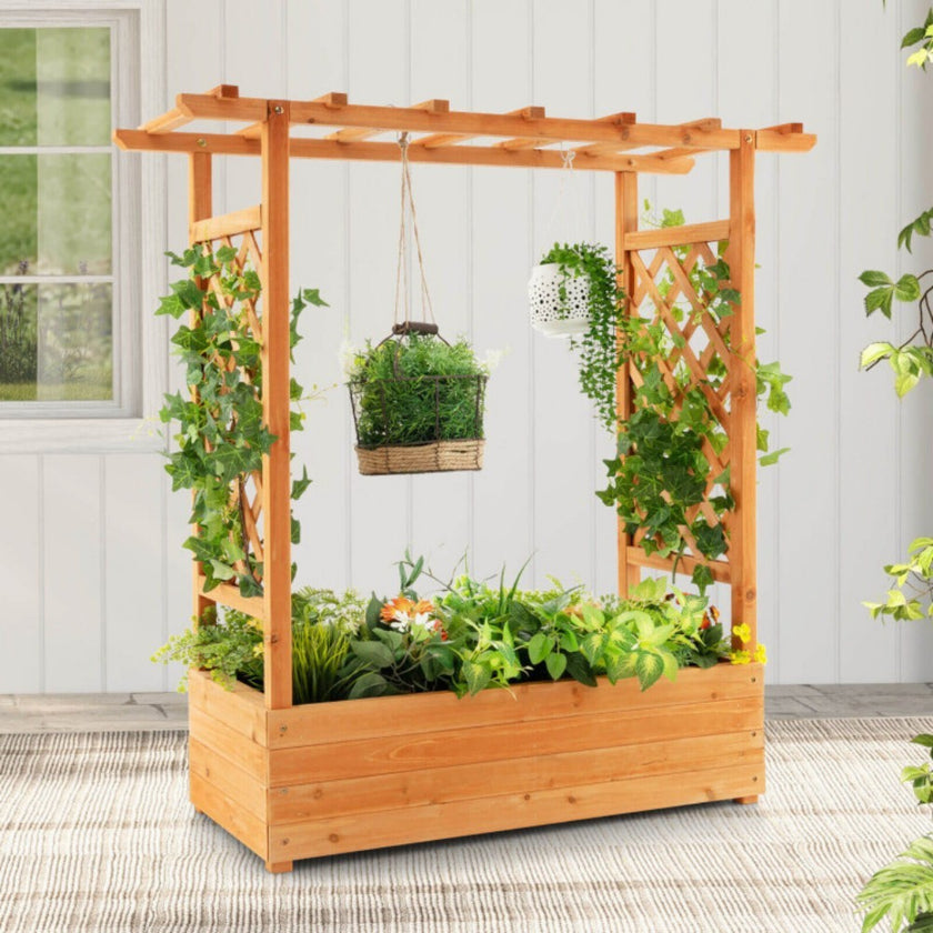 Raised Garden Bed With Trellis Or Climbing Plant And Hanging Roof