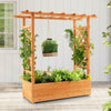 Raised Garden Bed With Trellis Or Climbing Plant And Hanging Roof