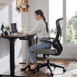 Ergonomic Computer Net Chair
