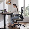 Ergonomic Computer Net Chair