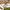 47 Inches Round Dining Table With Solid Acacia Wood Legs For 4-6 Person
