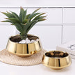 Ceramic Flowerpot Furniture Ornaments Golden Green Flower Plant