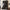 Hall Tree With Top Shelf And Storage Bench, Hallway Shoe Cabinet With Sliding Doors, Coat Rack With 5 Hanging Hooks For Entryways Hallways