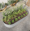 Oval Large Metal Raised Garden Bed For Plants, Vegetables, Flowers