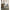 Natural Tone Frame Light Gray Fabric Set Of 2pc Side Chairs Dining Room Furniture Chair Upholstered Seat