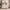 Modern Velvet Loveseat Sofa With Wooden Arms Office Couch 2-3 Seat