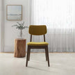 Carlos Dark Yellow Velvet Solid Back Side Chair  Set Of 2  Kitchen Living Room Padded Chairs Armless Design With Solid Wood Legs