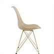 Modern Dining Chairs With Shell Leisure Plastic Seats And Golden Steel Legs