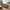 Chase Mid Century Modern Genuine Leather Sofa