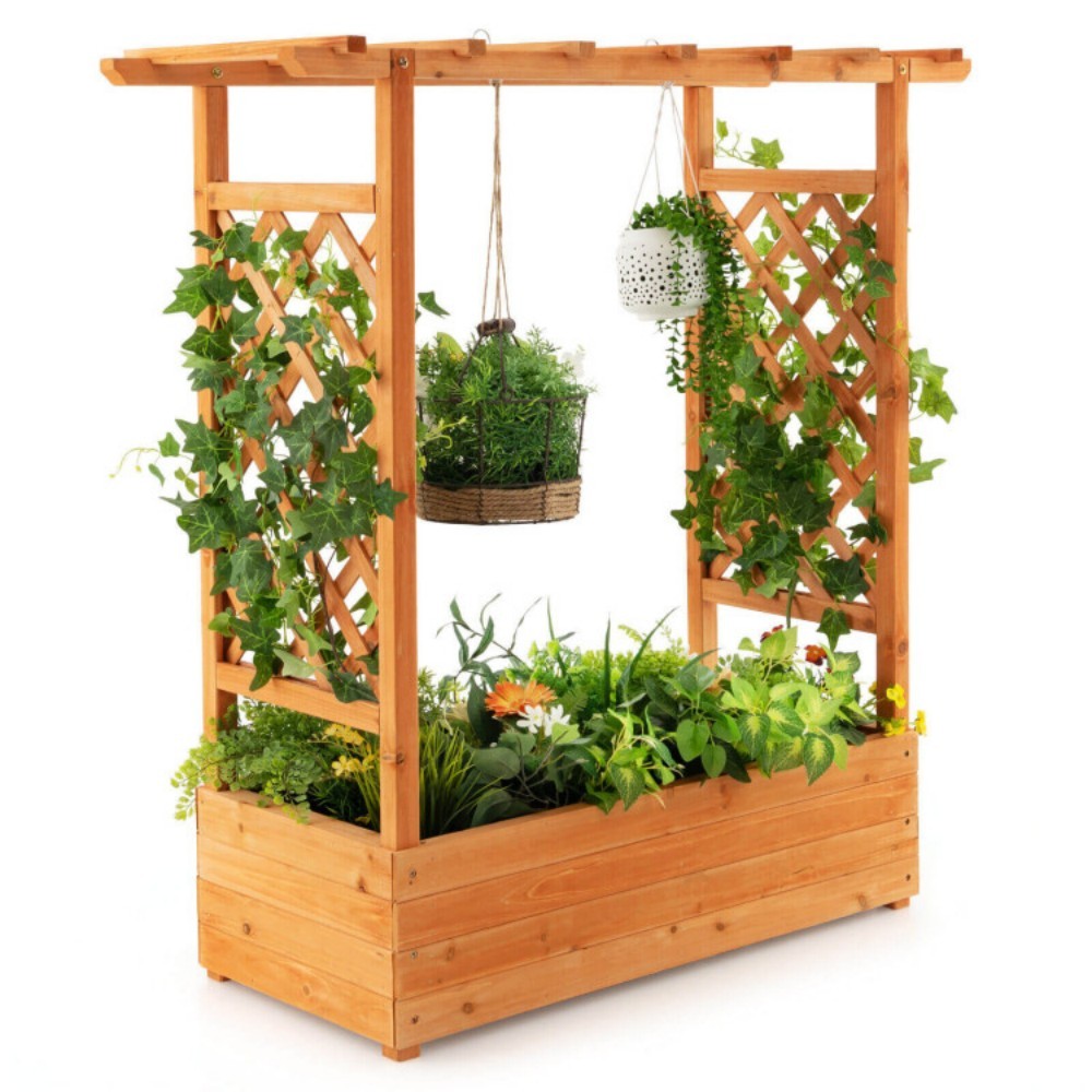 Raised Garden Bed With Trellis Or Climbing Plant And Hanging Roof