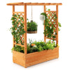 Raised Garden Bed With Trellis Or Climbing Plant And Hanging Roof