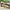 Long Console Table Living Room Table Not Supported Non-defective Remorse Returns