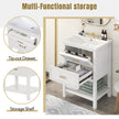 24'' Bathroom Vanity With Top Sink, Modern Bathroom Storage Cabinet With 2 Drawers, Single Sink Bathroom Vanity Replace SW000101AAK
