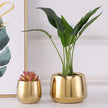 Ceramic Flowerpot Furniture Ornaments Golden Green Flower Plant