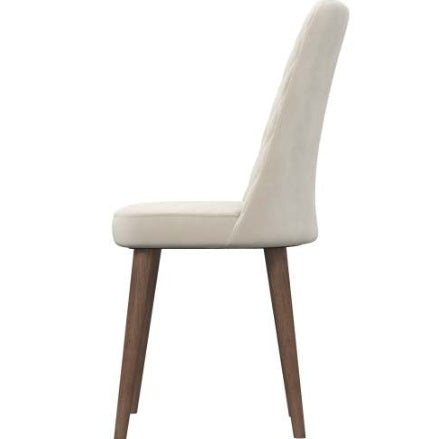 Katie Mid-Century Modern Velvet Dining Chair  Set Of 2