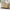 Wooden Antique Dresser TV Cabinet For Bedroom, Living Room, Corridor Storage