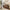 Living Room Shelves, With Two Storage Rooms, Storage Box, Modern Kitchen Utensils Cabinet, Self-service Wooden Storage Cabinet, Corridor Dining Room Transparent Glass Cabinet