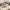 TOPMAX 6-Piece Wood Half Round Dining Table Set With Long Bench & 4 Chairs