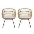 TERRY CHAIR,2PCS With 2 Cushions