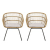 TERRY CHAIR,2PCS With 2 Cushions