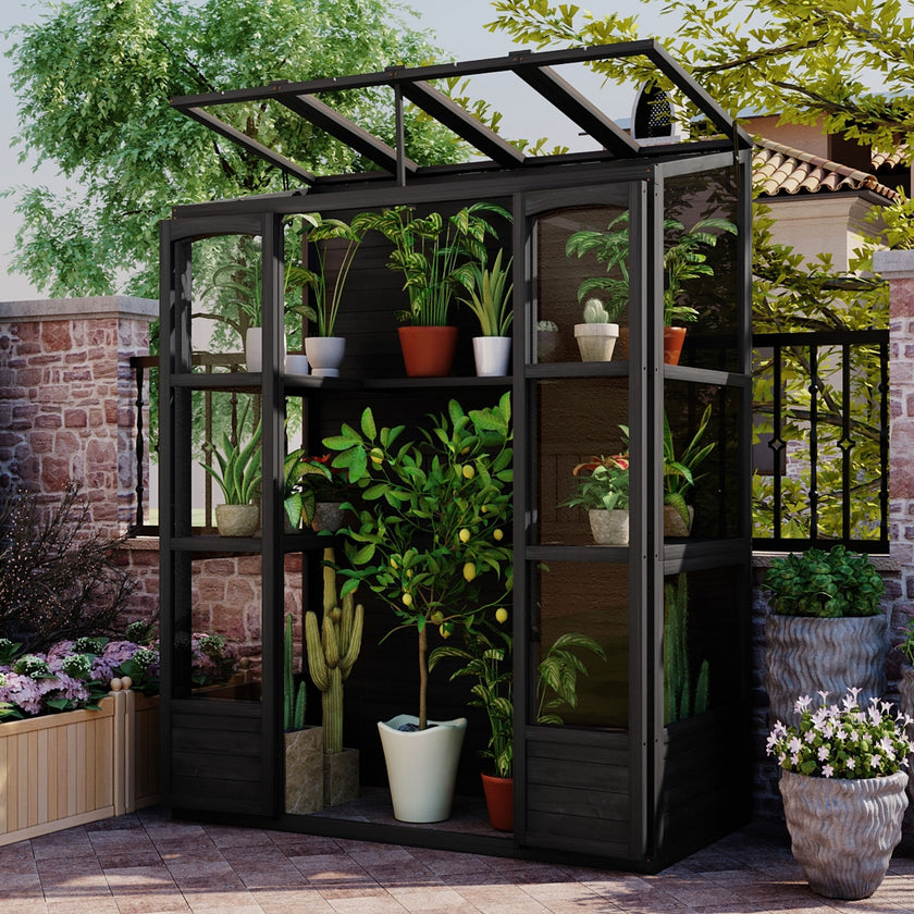TOPMAX 78-inch Wooden Greenhouse Cold Frame With 4 Independent Skylights And 2 Folding Middle Shelve