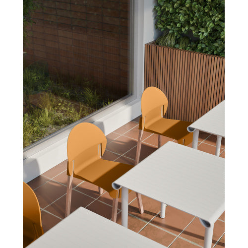 4-Pack Grey Blue Chairs  Red Oak Wood Legs & PP Seat, Indoor Dining & Living Room Furniture Set