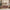 Modern Velvet Loveseat Sofa With Wooden Arms Office Couch 2-3 Seat