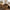 Vintage Style Bucket Shaped Coffee Table Set For Office, Dining Room And Living Room