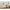 Modern White Sideboard Cabinet With Gold Handles For Kitchen, Dining Room Furniture Organizer