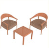 Modern 2 Piece Accent Chair Set With Coffee Table  Apricot Brown PP  Steel Frame Sofa Set, Soft Cushioned Seating For Living Room, Lounge, Balcony