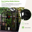 TOPMAX 78-inch Wooden Greenhouse Cold Frame With 4 Independent Skylights And 2 Folding Middle Shelve