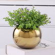 Ceramic Flowerpot Furniture Ornaments Golden Green Flower Plant