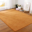 Thickened Solid Color Pattern Coral Fleece Carpet Modern Home Living Room Bedroom Bedside Tatami Crawling Mat Full-covered