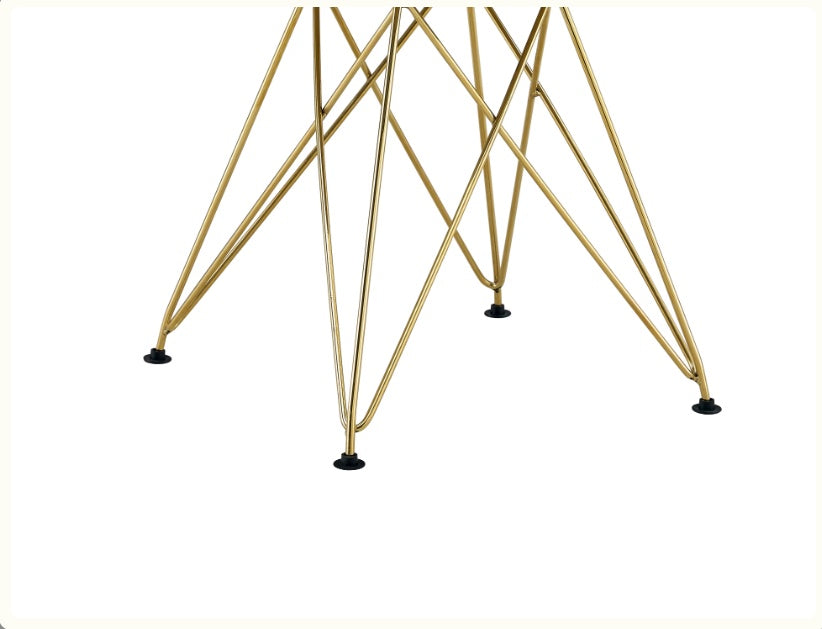 Modern Dining Chairs With Shell Leisure Plastic Seats And Golden Steel Legs