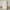 31 Wide Farmhouse Chest Of Drawers With 5 Drawers, Dresser For Bedroom With Wood Top For Living Room, Dirty Oak