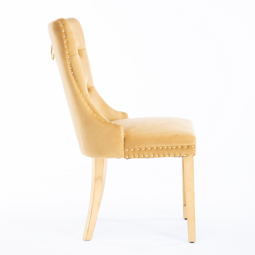A&A Furniture,Nikki Modern, High-end Tufted Solid Wood Contemporary Velvet Upholstered Dining Chair With Golden Stainless Steel Plating Legs,Nailhead Trim,Set Of 2,Gold, SW1601GL