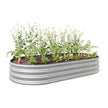 Oval Large Metal Raised Garden Bed For Plants, Vegetables, Flowers