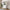70.87Tall Kitchen Pantry, Storage Cabinet , Kitchen Cabinet , Drawer And Adjustable Shelves, For Kitchen, Dining Room, White