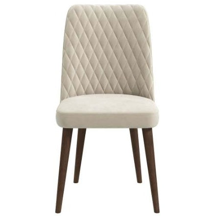 Katie Mid-Century Modern Velvet Dining Chair  Set Of 2
