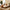 Mid-Century Modern Solid Wood Queen Platform Bed Frame With Spindle Headboard - Caramel