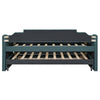 Twin Size Upholstered Daybed With Trundle And Three Drawers,Green