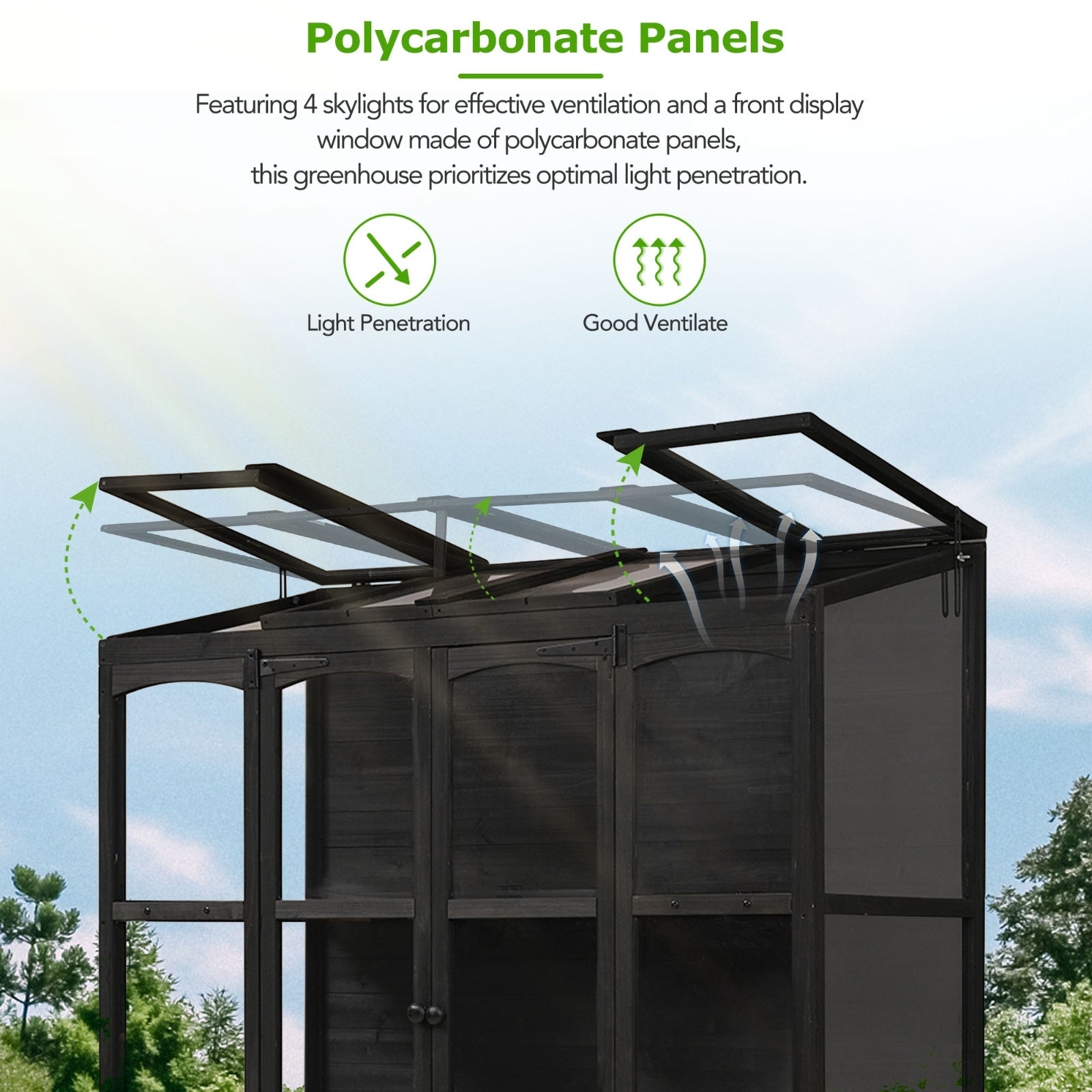 TOPMAX 78-inch Wooden Greenhouse Cold Frame With 4 Independent Skylights And 2 Folding Middle Shelve