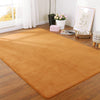Thickened Solid Color Pattern Coral Fleece Carpet Modern Home Living Room Bedroom Bedside Tatami Crawling Mat Full-covered