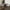Set Of 2 Wooden Dining Chairs , Unavailable Platforms- Temu