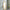 59.25  Tall Standing Wooden Floor Mirror With Natural Finish, Oval Shape