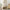 Bookshelves In Rattan, 7-tier Bookcase Storage Shelves For Living Room, Home Office, Natural Color